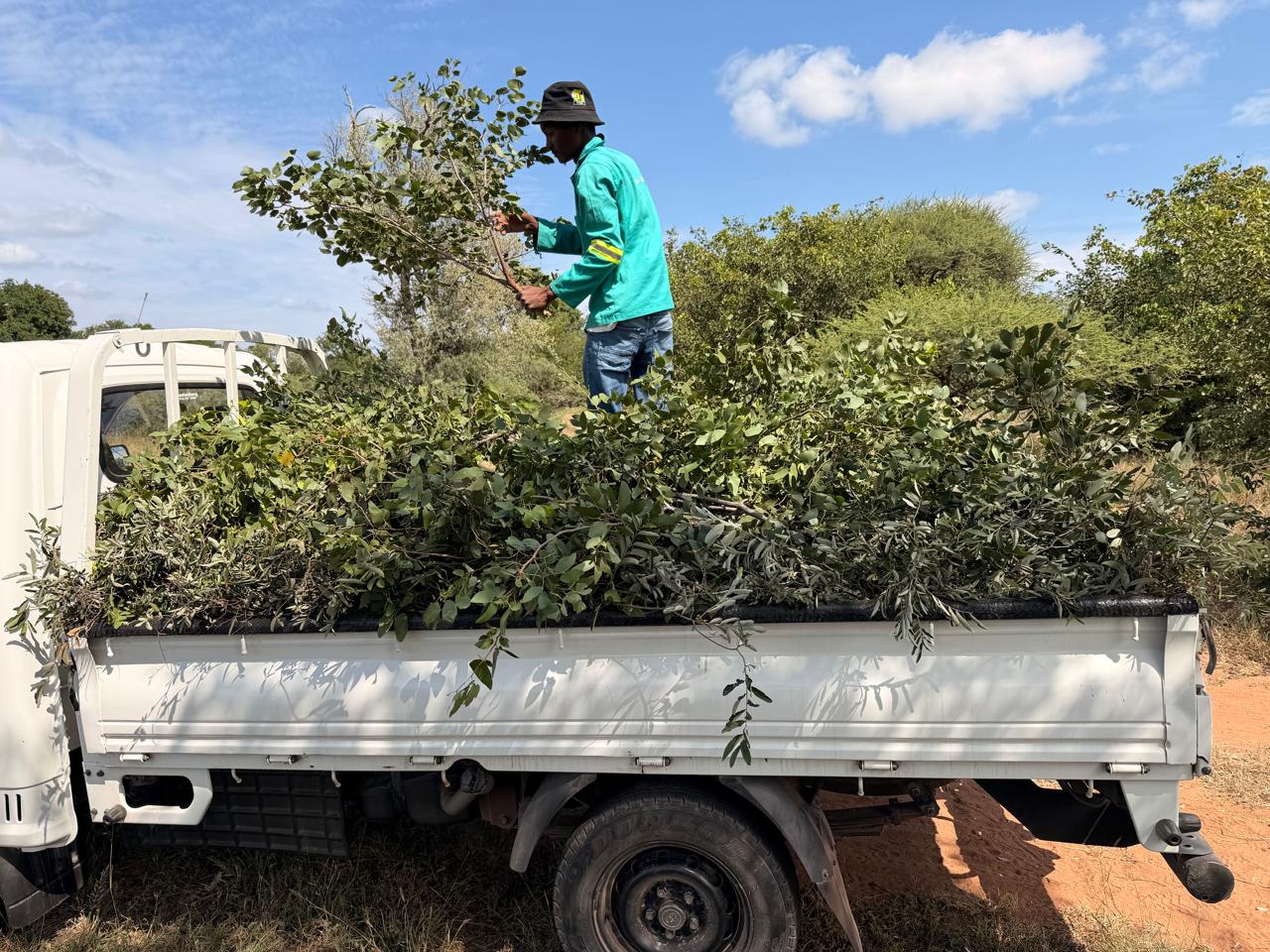 whatsapp image 2026 04 20 at 19.35.05